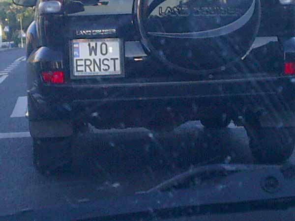 w0_ernst.jpg