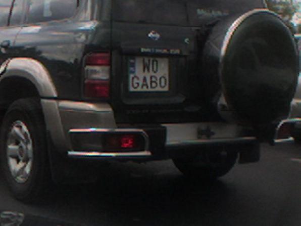 w0_gabo.jpg