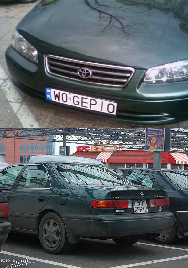 w0_gepio.jpg