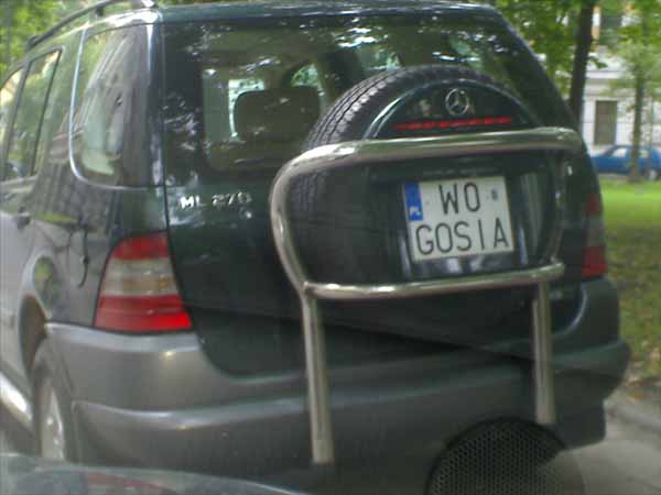w0_gosia.jpg