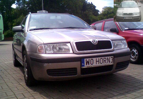 w0_horn3.jpg