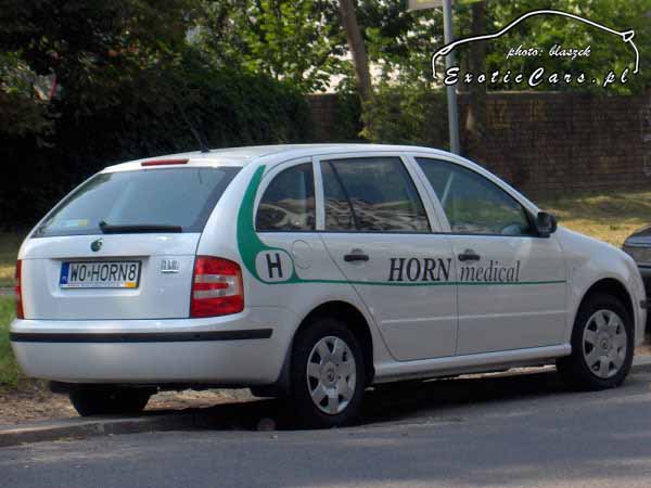 w0_horn8.jpg