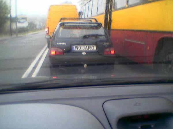 w0_jaro.jpg