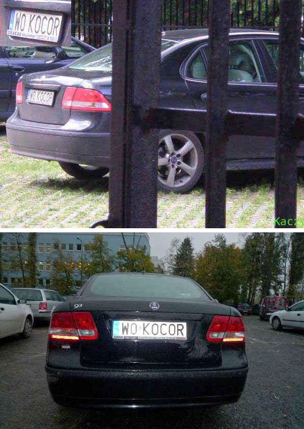 w0_kocor.jpg