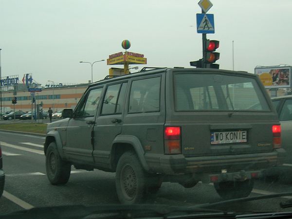 w0_konie.jpg