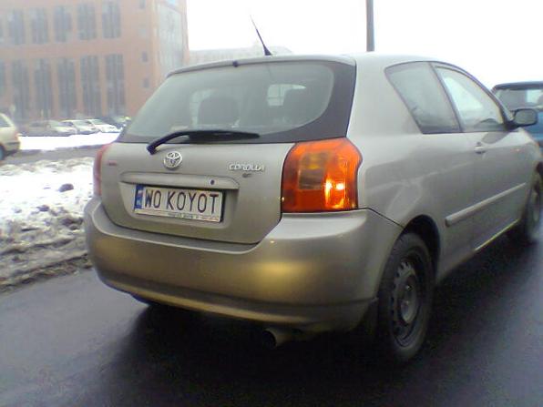 w0_koyot.jpg