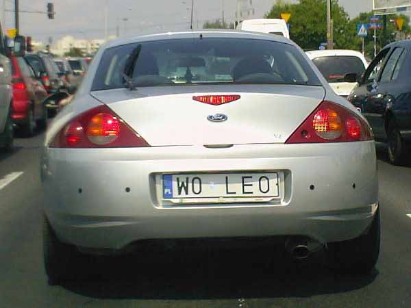 w0_leo.jpg