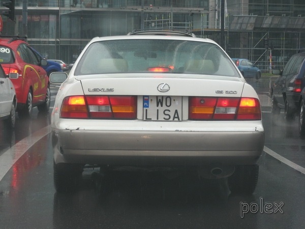 w0_lisa.jpg