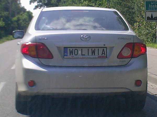 w0_liwia.jpg