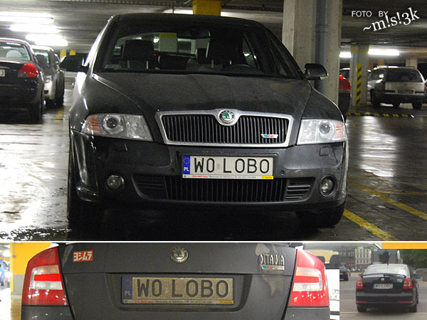 w0_lobo.jpg