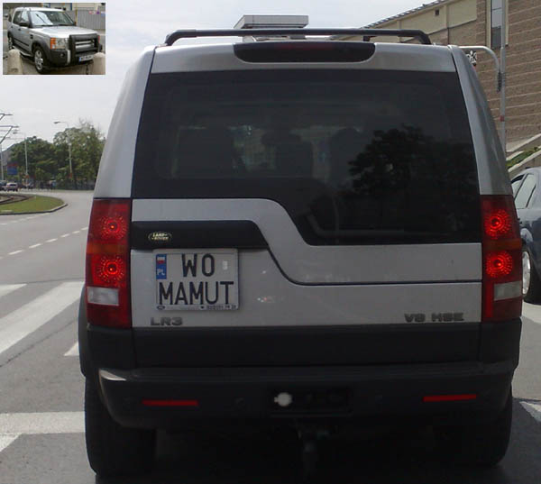 w0_mamut.jpg
