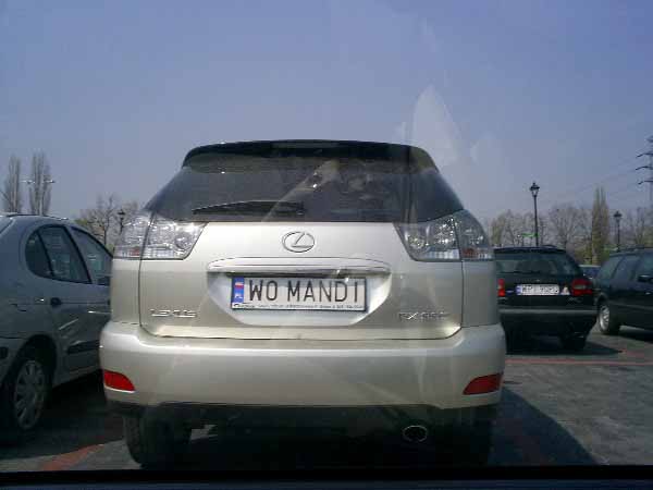 w0_mandi.jpg