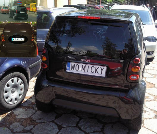 w0_micky.jpg