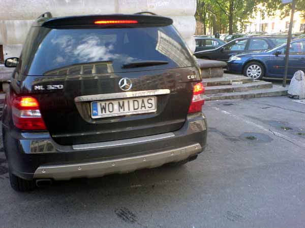 w0_midas.jpg