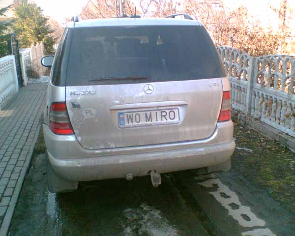 w0_miro.jpg