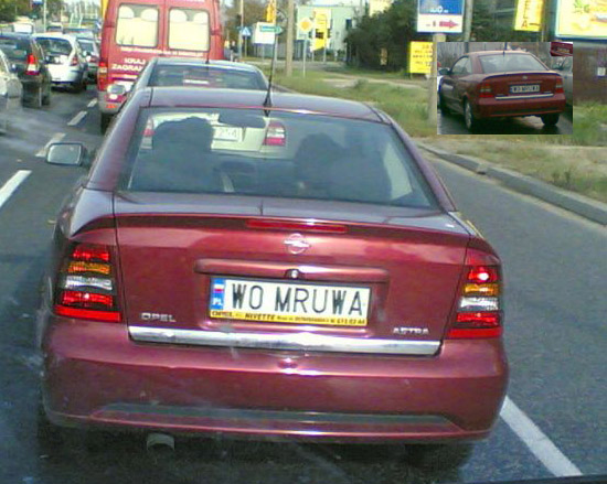 w0_mruwa.jpg