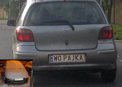 w0_pajka.jpg