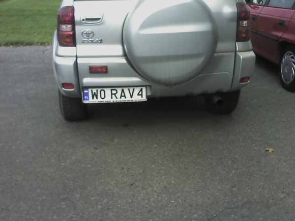 w0_rav4.jpg