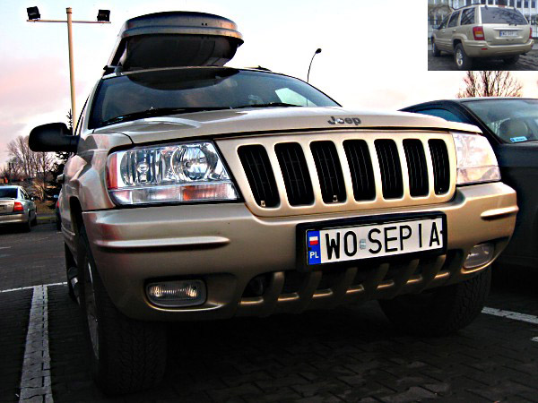 w0_sepia.jpg
