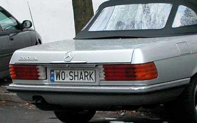 w0_shark.jpg