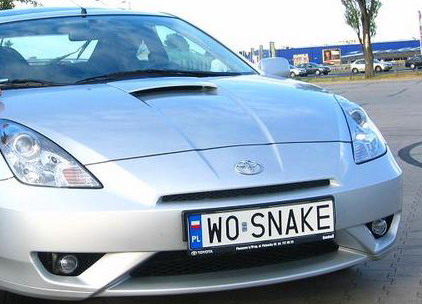 w0_snake.jpg