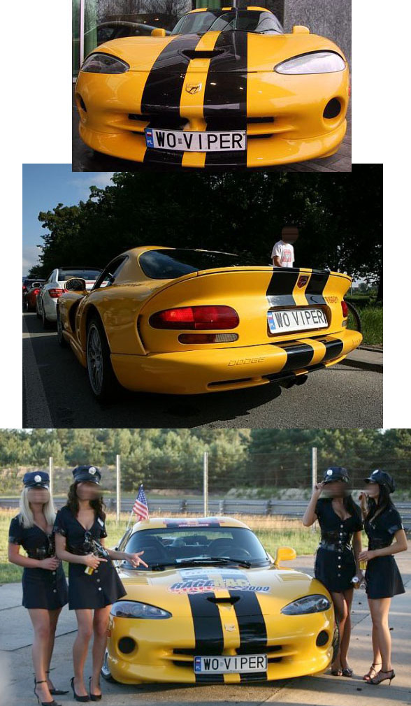 w0_viper.jpg
