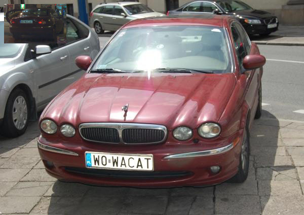 w0_wacat.jpg