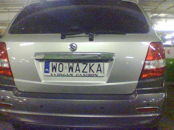 w0_wazka.jpg