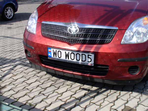 w0_wood5.jpg