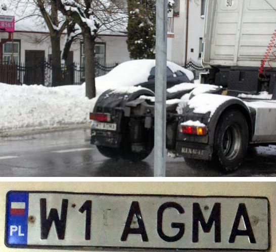 w1_agma.jpg