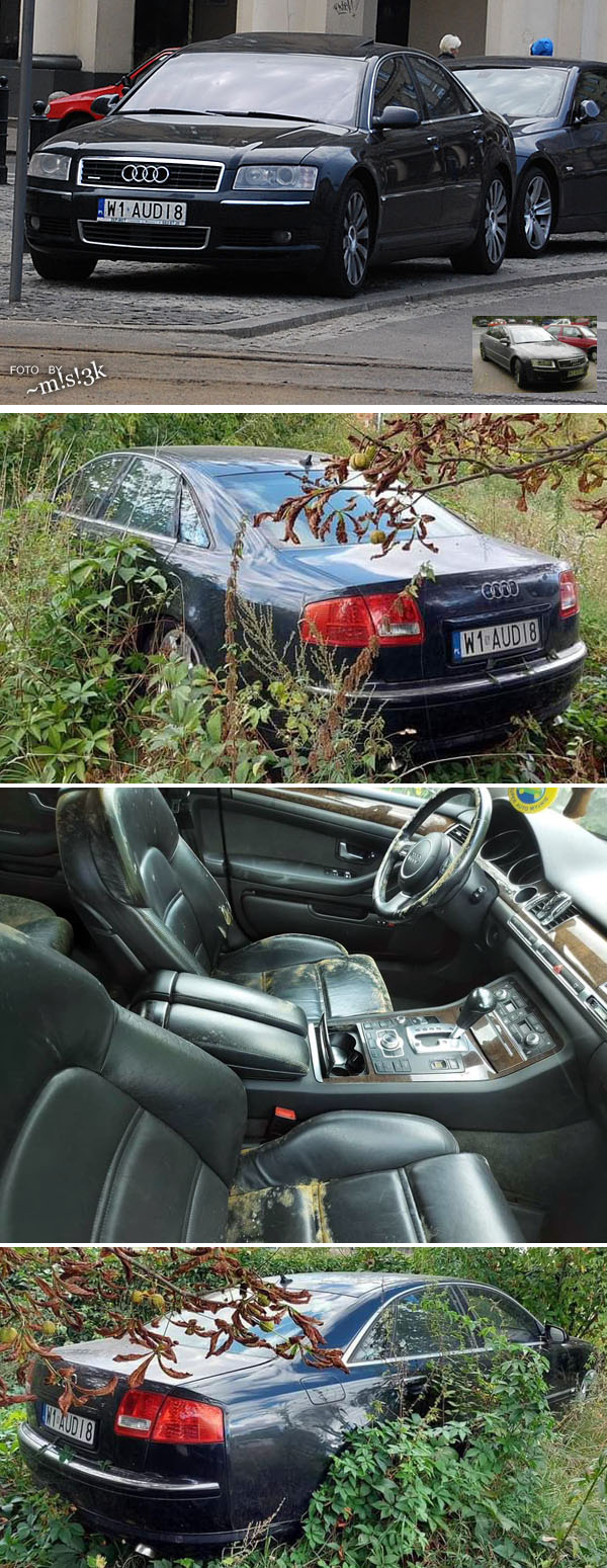 w1_audi8.jpg
