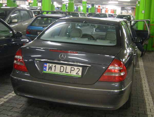 w1_dlp2.jpg