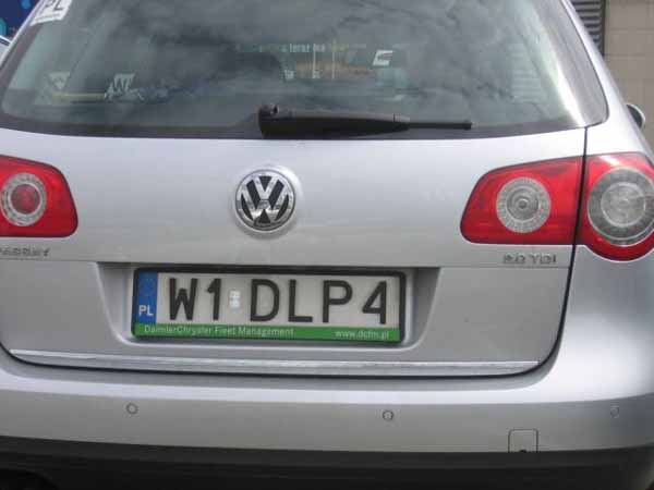 w1_dlp4.jpg