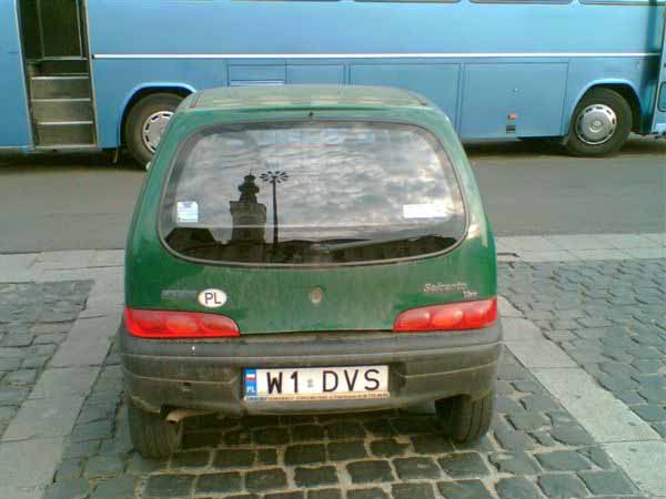 w1_dvs.jpg