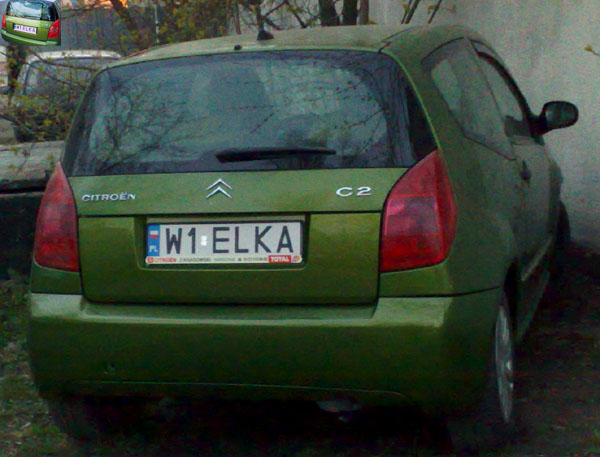 w1_elka.jpg