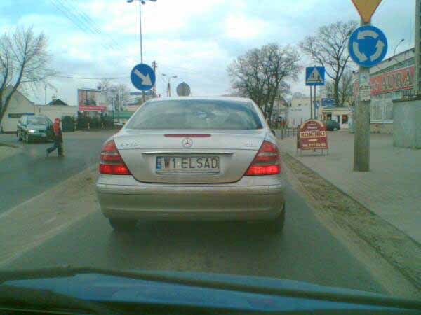 w1_elsad.jpg