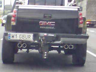 w1_gbur.jpg
