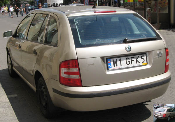 w1_gfk5.jpg