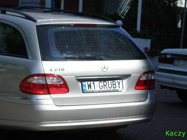w1_gruby.jpg
