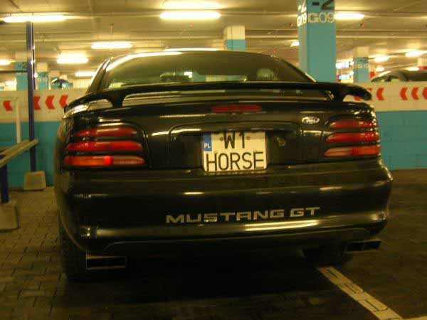 w1_horse.jpg
