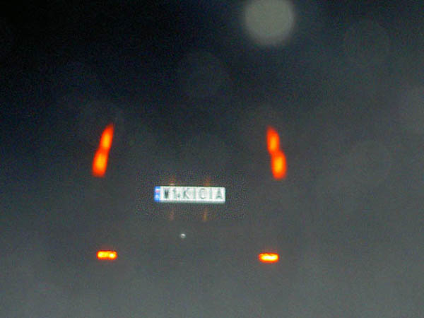 w1_kicia.jpg