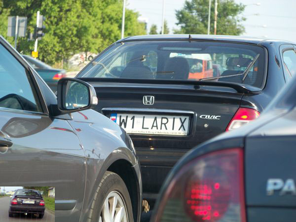w1_larix.jpg