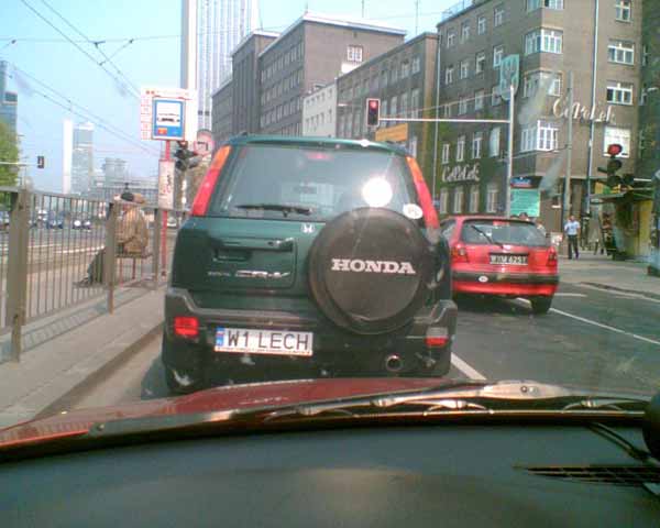 w1_lech.jpg