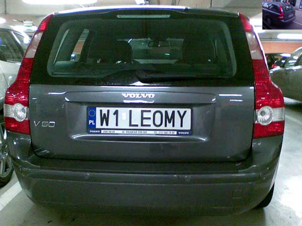 w1_leomy.jpg