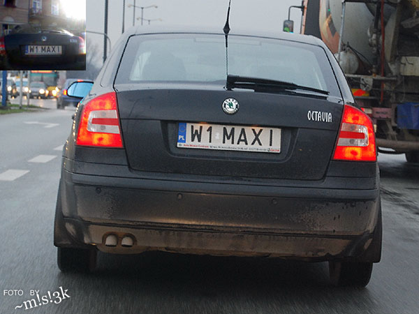 w1_maxi.jpg