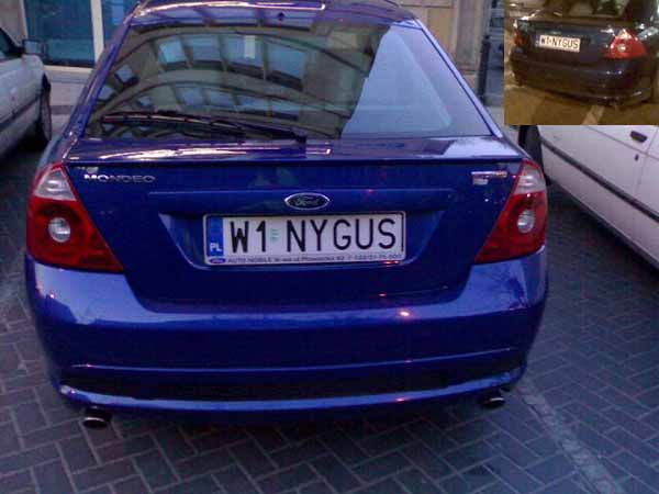 w1_nygus.jpg