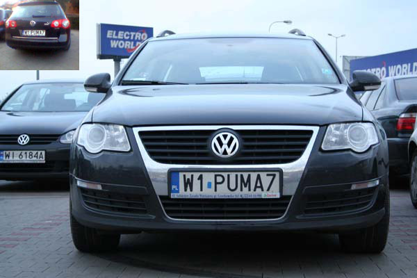 w1_puma7.jpg