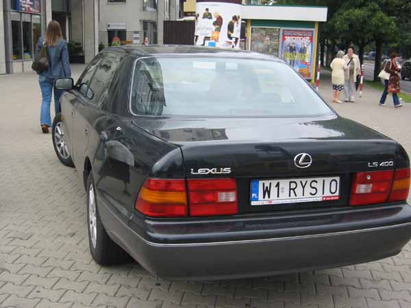 w1_rysio.jpg