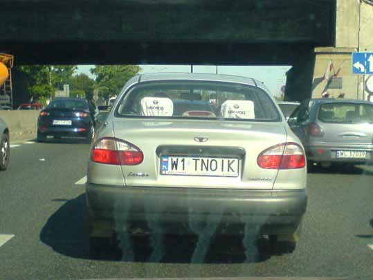w1_tnoik.jpg