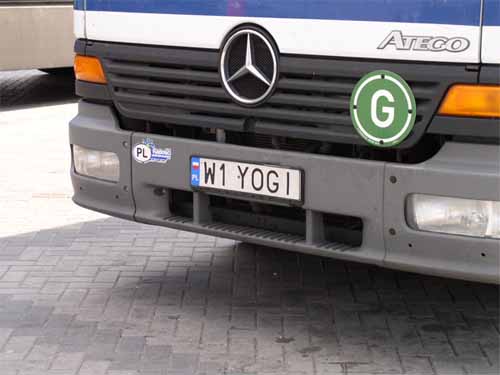 w1_yogi.jpg